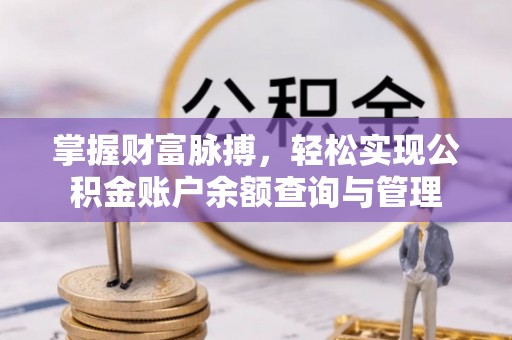 泸县掌握财富脉搏，轻松实现公积金账户余额查询与管理