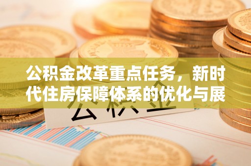泸县公积金改革重点任务，新时代住房保障体系的优化与展望