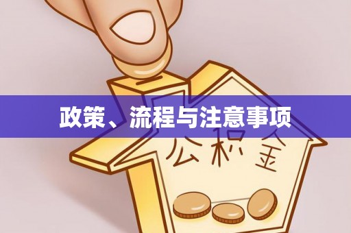泸县政策、流程与注意事项