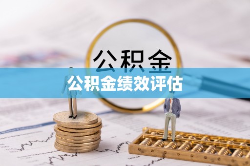 泸县公积金绩效评估