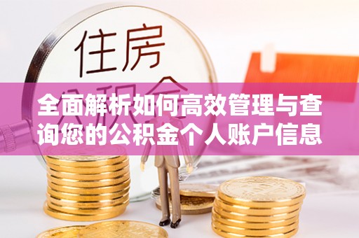 泸县全面解析如何高效管理与查询您的公积金个人账户信息