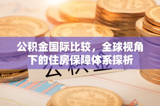 泸县公积金国际比较，全球视角下的住房保障体系探析