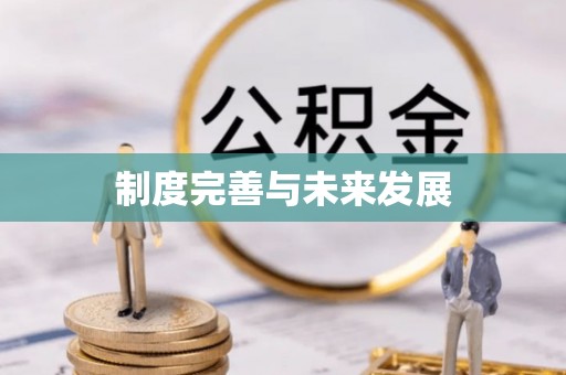 泸县制度完善与未来发展