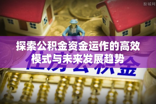 泸县探索公积金资金运作的高效模式与未来发展趋势