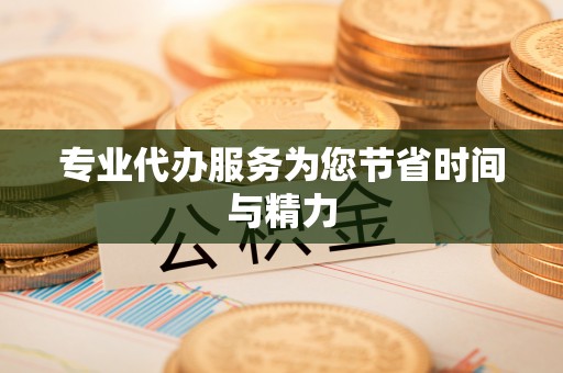 泸县专业代办服务为您节省时间与精力